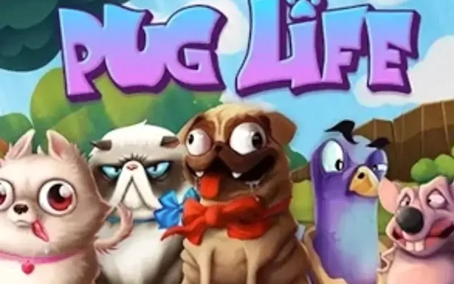 Pug Life